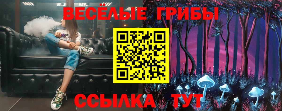 Псилоцибиновые грибы GOLDEN TEACHER Медногорск